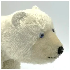 1952 Vintage Steiff Polar Bear Cub On All Fours - Blue Eyes - 25 Cm - Largest Size Jungbar 21 1952 Vintage Steiff Polar Bear Cub On All Fours - Blue Eyes - 25 Cm - Largest Size Jungbar -Steiff 1952 Vintage Steiff Polar Bear Cub pic 5o 7203a10.10 158a5b43 f