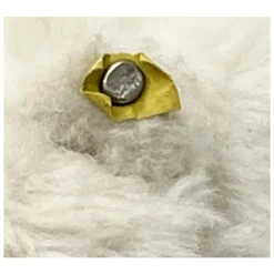 1963 Vintage Steiff Cosy Nauty Polar Bear With ID - RSB Button/chest Tag - 22 Cm / 11 " -Steiff 1963 Vintage Steiff Cosy Nauty Polar pic 12o 7203a10.10 cc50b50f f