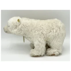 1963 Vintage Steiff Cosy Nauty Polar Bear With ID - RSB Button/chest Tag - 22 Cm / 11 " -Steiff 1963 Vintage Steiff Cosy Nauty Polar pic 8o 7203a10.10 11a4b4b8 f