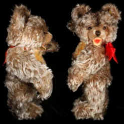 Adorable And Handsome Steiff 5xJointed Zotty Teddy Bear 1959 Only 2 IDs SPECTACULAR Condition 11 Adorable And Handsome Steiff 5xJointed Zotty Teddy Bear 1959 Only 2 IDs SPECTACULAR Condition -Steiff Adorable Handsome Steiff 5x7878Jointed Zotty Teddy pic 4o 720 3e4d021d 0