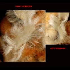 Big Brother Rare Steiff Floppy Tiger Rattle In Paw 1959 To 1961 2 IDs -Steiff Big Brother Steiff Floppy Tiger Rattle pic 7o 720 745016b4 0