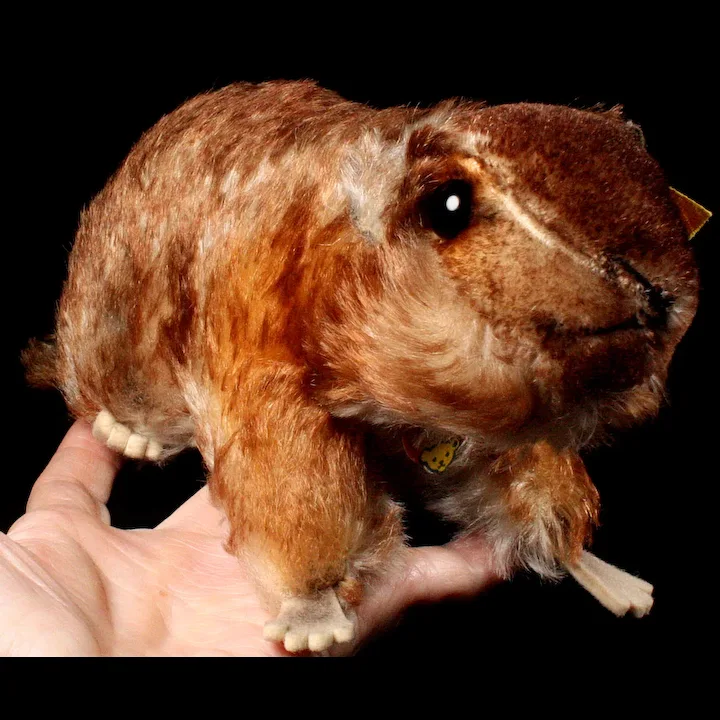 Big Brother Rare Steiff Murmy Marmot (Squirrel Cousin) All ID Beautiful Coloring 1960-1962 ONLY 6 Big Brother Rare Steiff Murmy Marmot (Squirrel Cousin) All ID Beautiful Coloring 1960-1962 ONLY - Image 6