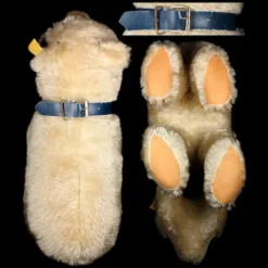 RARE Biggest! Brother Steiff Eisbaer Polar Bear All ID -Steiff Biggestx7821 Brother Steiff Eisbaer Polar Bear pic 5o 720 5bd8e6f5 0