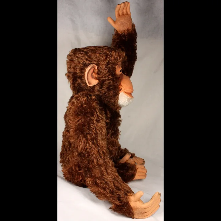 Early Model MAGNIFICENT Coloring BIG Steiff 5xJointed Jocko Chimpanzee (NOT Monkey) All ID LOUD SQUEAKER 4 Early Model MAGNIFICENT Coloring BIG Steiff 5xJointed Jocko Chimpanzee (NOT Monkey) All ID LOUD SQUEAKER - Image 4