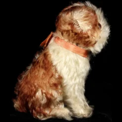 Rare Early Post WWII Adorable Little Sister Steiff Molly Puppy Junghund Dog 2 IDs -Steiff Early Post WWII Adorable Little Sister pic 3o 720 b685d27e 0