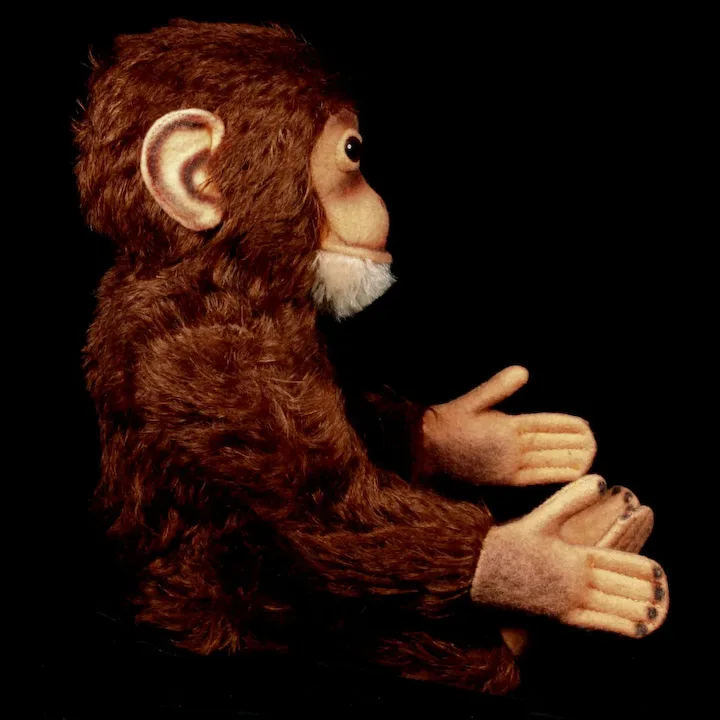 Gorgeous Coloring Steiff 5XJointed Jocko Chimpanzee (NOT Monkey!) 2 IDs 3 Gorgeous Coloring Steiff 5XJointed Jocko Chimpanzee (NOT Monkey!) 2 IDs - Image 3