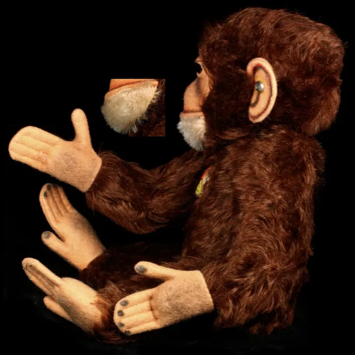 Gorgeous Coloring Steiff 5XJointed Jocko Chimpanzee (NOT Monkey!) 2 IDs 6 Gorgeous Coloring Steiff 5XJointed Jocko Chimpanzee (NOT Monkey!) 2 IDs - Image 6