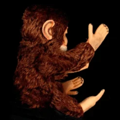 Gorgeous Coloring Steiff 5XJointed Jocko Chimpanzee (NOT Monkey!) 2 IDs 17 Gorgeous Coloring Steiff 5XJointed Jocko Chimpanzee (NOT Monkey!) 2 IDs -Steiff Gorgeous Coloring Steiff 5XJointed Jocko Chimpanzee pic 7o 720 07291321 0