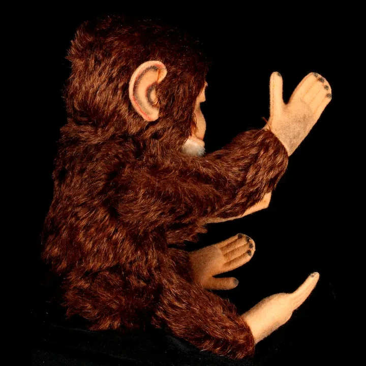 Gorgeous Coloring Steiff 5XJointed Jocko Chimpanzee (NOT Monkey!) 2 IDs 7 Gorgeous Coloring Steiff 5XJointed Jocko Chimpanzee (NOT Monkey!) 2 IDs - Image 7