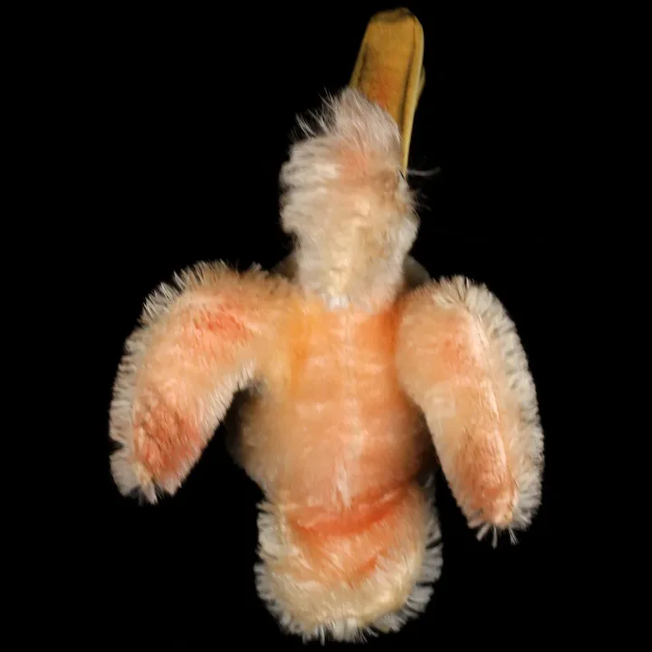 Rare Gorgeous Coloring Steiff Piccy Pelican Bird All ID 6 Rare Gorgeous Coloring Steiff Piccy Pelican Bird All ID - Image 6