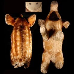 Rare HUGE Unusual Steiff Display Animal Schautier Baby Wild Boar Frischling ID Free US Shipping 10 Rare HUGE Unusual Steiff Display Animal Schautier Baby Wild Boar Frischling ID Free US Shipping -Steiff HUGE Unusual Steiff Display Animal Schautier pic 5o 720 14ed84dd 0