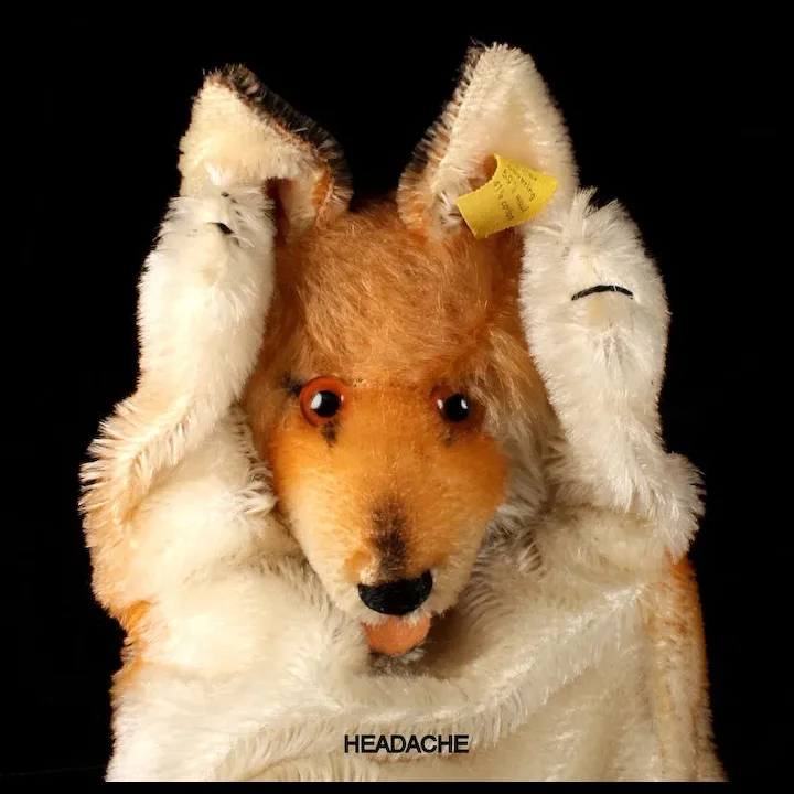 Handsome Steiff 1950s Fox Hand Puppet 2 IDs 9 Handsome Steiff 1950s Fox Hand Puppet 2 IDs - Image 9