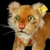 Rare Largest Size Steiff Stalking Lion Cub All ID 1954-1957 Only!