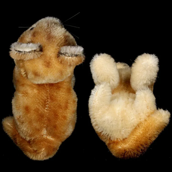 Little Brother Rare Steiff Seated Mohair Baby Lion Jungloewe Wild Cat ID 1956-1961 Only 10 Little Brother Rare Steiff Seated Mohair Baby Lion Jungloewe Wild Cat ID 1956-1961 Only - Image 10