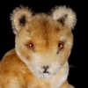 Little Brother Rare Steiff Seated Mohair Baby Lion Jungloewe Wild Cat ID 1956-1961 Only