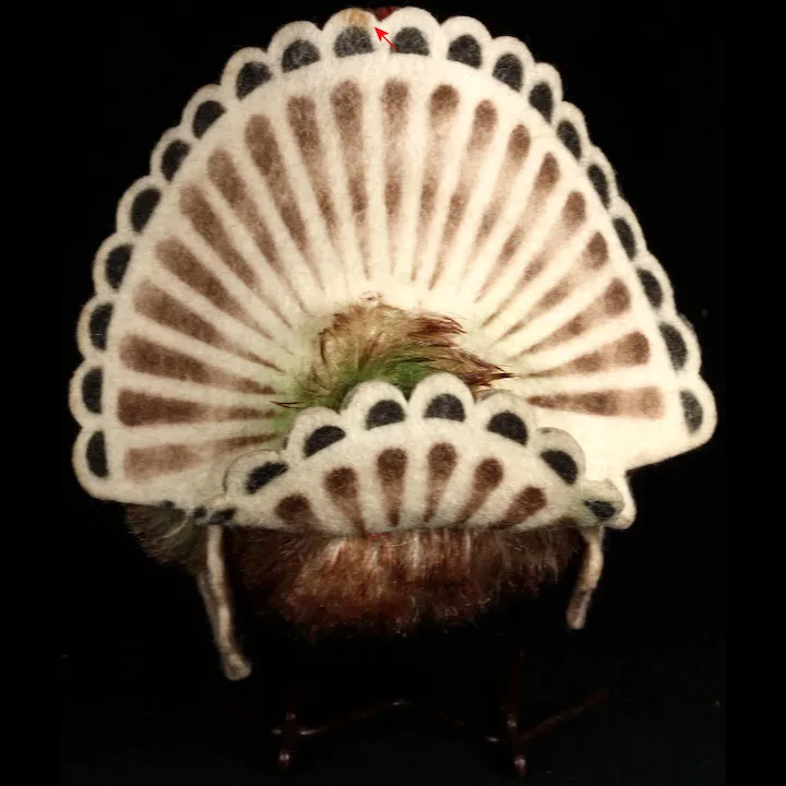 Little Brother Rare Steiff Tucky Turkey Bird ID 3 Little Brother Rare Steiff Tucky Turkey Bird ID - Image 3