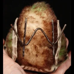 Little Brother Rare Steiff Tucky Turkey Bird ID 14 Little Brother Rare Steiff Tucky Turkey Bird ID -Steiff Little Brother Steiff Tucky Turkey Bird pic 7o 720 7c9105a9 0