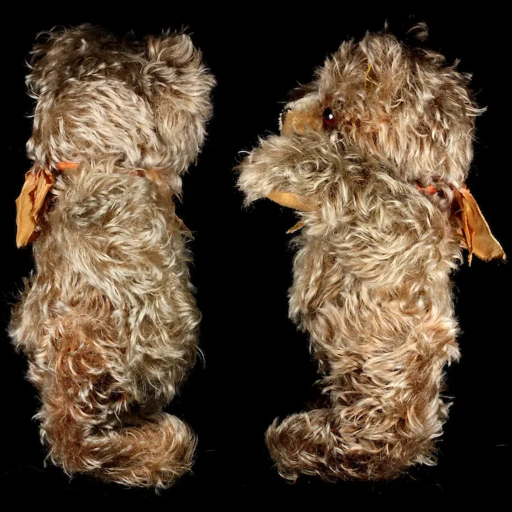 Middle Brother 5xJointed Steiff Zotty Teddy Bear All ID 5 Middle Brother 5xJointed Steiff Zotty Teddy Bear All ID - Image 5