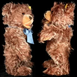 Middle Brother Steiff 5xJointed Rare Zimt Cinnamon Colored Zotty Teddy Bear 2 IDs -Steiff Middle Brother Steiff 5x7878Jointed Zimt Cinnamon pic 5o 720 fe48f23d 0