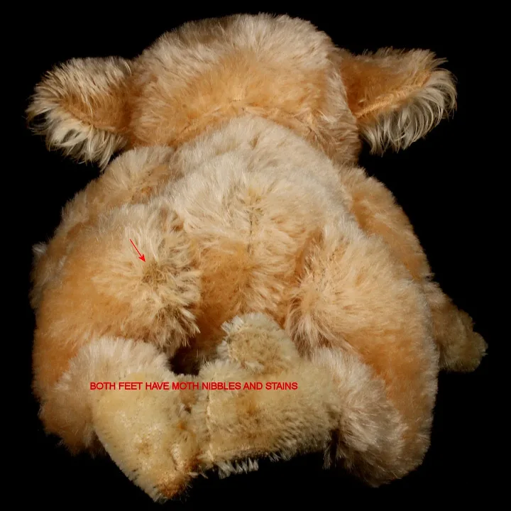 Rare Middle Brother Steiff Koala (NOT) Bear '55-'61 Only! 11 Rare Middle Brother Steiff Koala (NOT) Bear '55-'61 Only! - Image 11