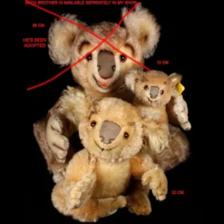 Rare Middle Brother Steiff Koala (NOT) Bear '55-'61 Only! 25 Rare Middle Brother Steiff Koala (NOT) Bear '55-'61 Only! -Steiff Middle Brother Steiff Koala NOT Bear pic 13o 720 f149ecb9 0