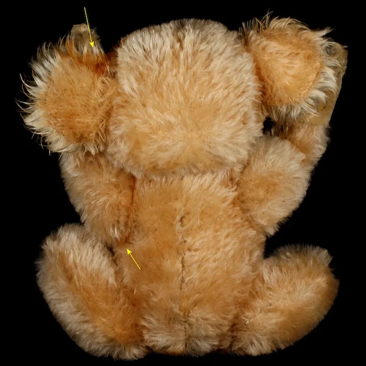 Rare Middle Brother Steiff Koala (NOT) Bear '55-'61 Only! 3 Rare Middle Brother Steiff Koala (NOT) Bear '55-'61 Only! - Image 3