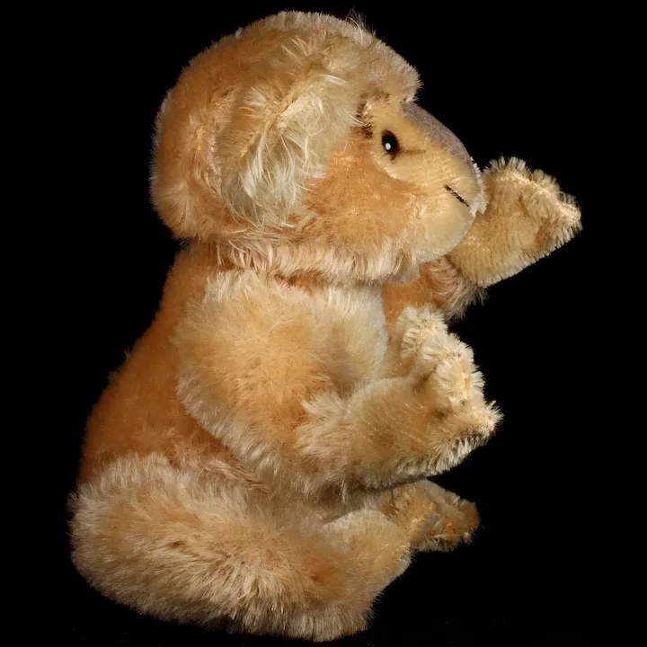 Rare Middle Brother Steiff Koala (NOT) Bear '55-'61 Only! 4 Rare Middle Brother Steiff Koala (NOT) Bear '55-'61 Only! - Image 4