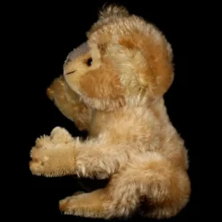 Rare Middle Brother Steiff Koala (NOT) Bear '55-'61 Only! 19 Rare Middle Brother Steiff Koala (NOT) Bear '55-'61 Only! -Steiff Middle Brother Steiff Koala NOT Bear pic 7o 720 54855173 0