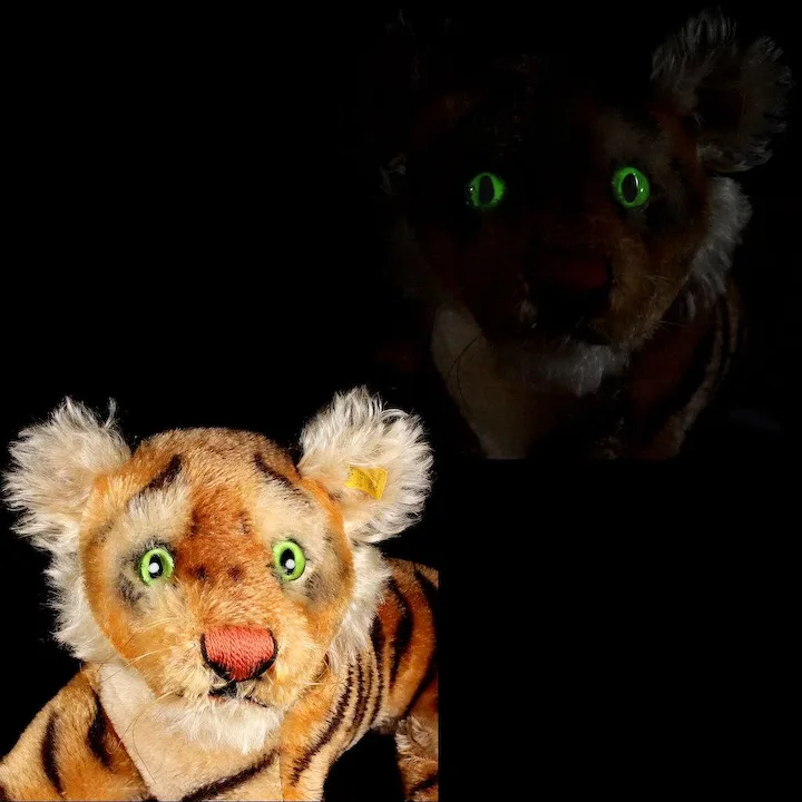 Next To Smallest Brother Early Model Rare Steiff Reclining Tiger Cub Magic Eyes 2 IDs 8 Next To Smallest Brother Early Model Rare Steiff Reclining Tiger Cub Magic Eyes 2 IDs - Image 8