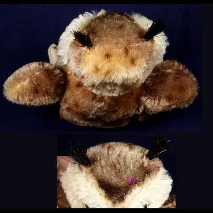 Next To Smallest Sister Earliest Model Steiff Wittie Owl Bird 2 IDs MAGIC EYES Great For Halloween! 8 Next To Smallest Sister Earliest Model Steiff Wittie Owl Bird 2 IDs MAGIC EYES Great For Halloween! - Image 8