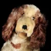 Rare Seated Brown And White Steiff Cockie Cocker Spaniel Puppy Dog 2 IDs 1959 ONLY
