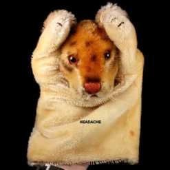 RARE Steiff LEA Lioness (NAMED) Wild Cat Hand Puppet Chest Tag ID 19 RARE Steiff LEA Lioness (NAMED) Wild Cat Hand Puppet Chest Tag ID -Steiff Steiff LEA Lioness NAMED Wild Cat pic 9o 720 5460aee5 0