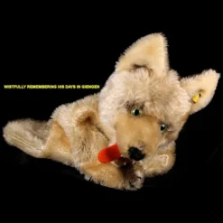 Rare Steiff Loopy Wolf Hand Puppet With Scary Fangs 2+ IDs 19 Rare Steiff Loopy Wolf Hand Puppet With Scary Fangs 2+ IDs -Steiff Steiff Loopy Wolf Hand Puppet Scary pic 10o 720 f18d9fbd 0