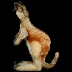 Rare Steiff MALE (No Pouch) Kangoo Kangaroo Poseable Head And Arms All ID 15 Rare Steiff MALE (No Pouch) Kangoo Kangaroo Poseable Head And Arms All ID -Steiff Steiff MALE No Pouch Kangoo Kangaroo pic 6o 720 9bd2082b 0