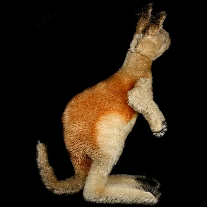 Rare Steiff MALE (No Pouch) Kangoo Kangaroo Poseable Head And Arms All ID 7 Rare Steiff MALE (No Pouch) Kangoo Kangaroo Poseable Head And Arms All ID - Image 7