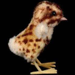 Rare Steiff Spotted Chick Kueken Bird Gorgeous Coloring 2 IDs -Steiff Steiff Spotted Chick Kueken Bird Gorgeous pic 3o 720 ef66ec2e 0