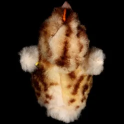 Rare Steiff Spotted Chick Kueken Bird Gorgeous Coloring 2 IDs -Steiff Steiff Spotted Chick Kueken Bird Gorgeous pic 9o 720 927413c0 0