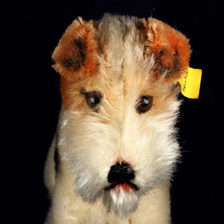 Steiff Sweet Foxy Wire Hair Fox Terrier Puppy Dog All ID AMAZING COLORING 1 Steiff Sweet Foxy Wire Hair Fox Terrier Puppy Dog All ID AMAZING COLORING