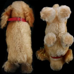 Steiff '60s Midsize Gold Standing Cockie Spaniel Puppy Dog 2 IDs -Steiff Steiff x782760s Midsize Gold Standing Cockie pic 6o 720 00000000 0