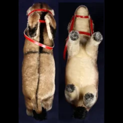 Sweet Earliest And Next To Largest Brother Steiff Donkey Esel 2 IDs -Steiff Sweet Earliest Nex7878t to Largest Brother pic 5o 720 a9534049 0