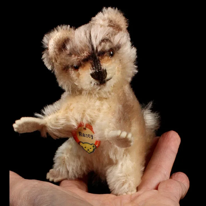 Tiny Sister Rare Adorable Raccy Begging Raccoon ID 12 Tiny Sister Rare Adorable Raccy Begging Raccoon ID - Image 12