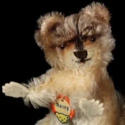 Tiny Sister Rare Adorable Raccy Begging Raccoon ID