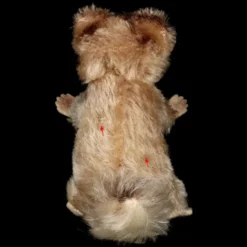 Tiny Sister Rare Adorable Raccy Begging Raccoon ID 14 Tiny Sister Rare Adorable Raccy Begging Raccoon ID -Steiff Tiny Sister Adorable Raccy Begging Raccoon pic 3o 720 c048dfdb 0