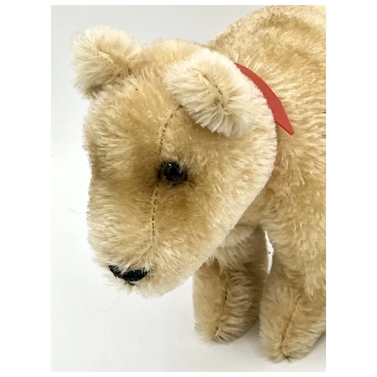 Vintage Grisly Spielwaren Brown Bear Cub On All Fours With ID - Mohair - EAN 480/15 - 8" X 6" 6 Vintage Grisly Spielwaren Brown Bear Cub On All Fours With ID - Mohair - EAN 480/15 - 8" X 6" - Image 6