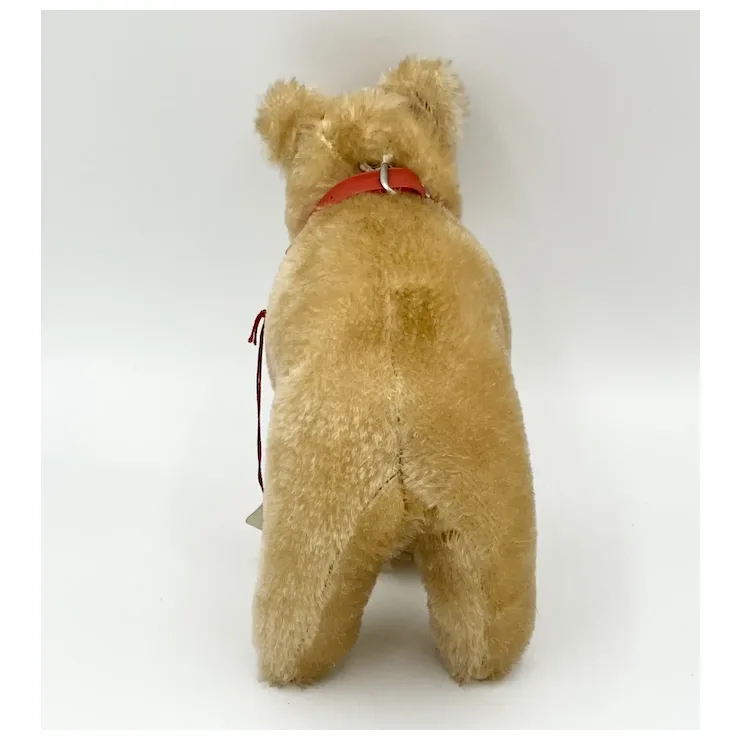 Vintage Grisly Spielwaren Brown Bear Cub On All Fours With ID - Mohair - EAN 480/15 - 8" X 6" 10 Vintage Grisly Spielwaren Brown Bear Cub On All Fours With ID - Mohair - EAN 480/15 - 8" X 6" - Image 10