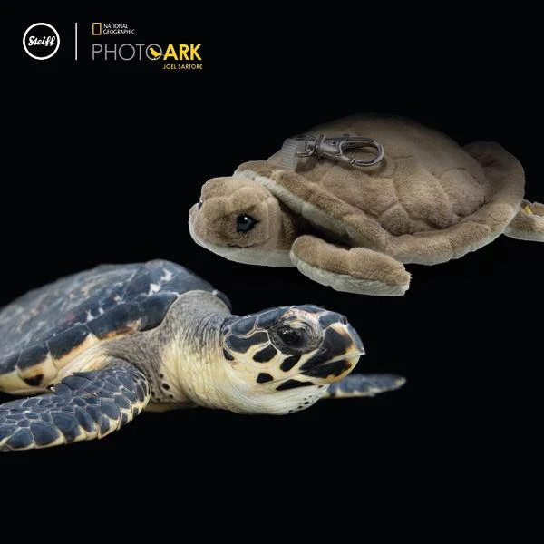 Steiff - National Geographic Turtle Pendant Keyring 024399* 2 Steiff - National Geographic Turtle Pendant Keyring 024399* - Image 2