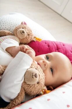 Steiff - GOTS Rosy Teddy Bear Brown/Pink -Organic Cotton 242151* 6 Steiff - GOTS Rosy Teddy Bear Brown/Pink -Organic Cotton 242151* -Steiff loadimages2013 1599055155